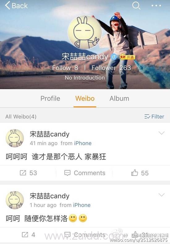 王宝强离婚事件全解析