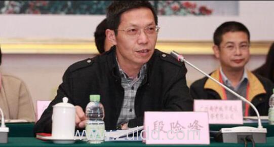 广州南沙经济技术开发区管委会原副主任段险峰情人黄某背景简历近况