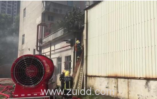 广东省湛江市开发区平乐冷冻厂发生大火现场图片最新情况