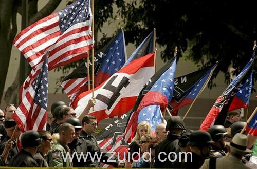 美国发生白人至上主义者暴乱特朗普关系汽车冲撞人群