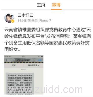 云南省镇雄县委杨小军发布云南镇雄干部以低保诱奸妇女调查结果