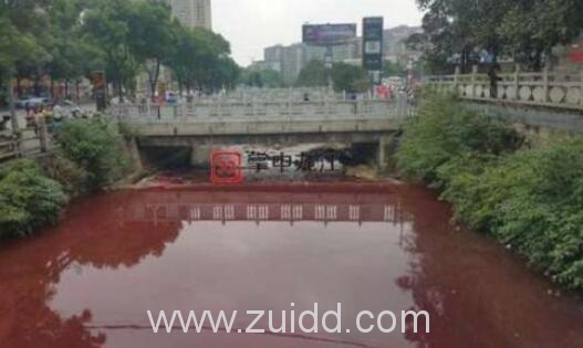 杀猪场排水到九江学院门口的濂溪河血流成河环境污染严重