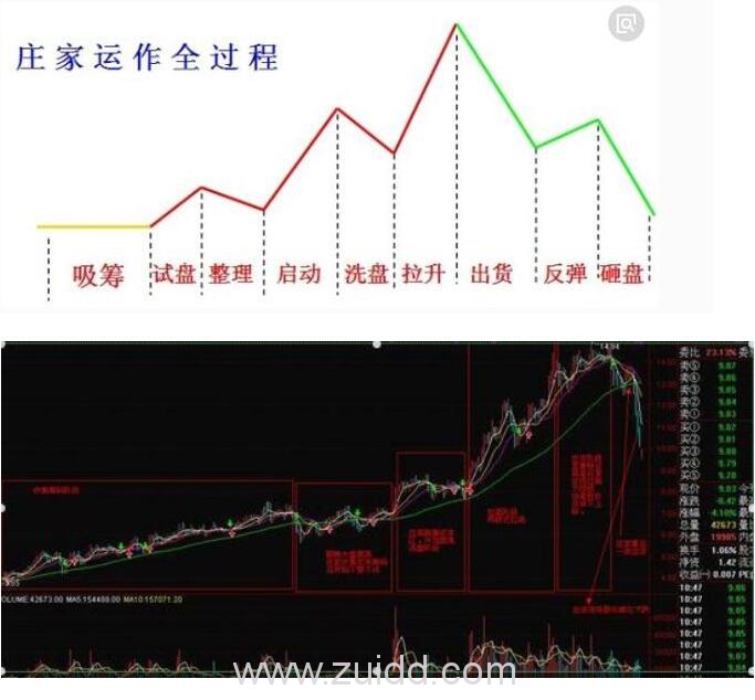 庄家运作全过程